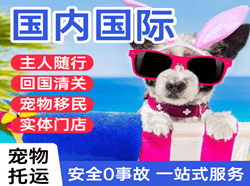 呼和浩特白塔航空运输国际宠物托运 【国